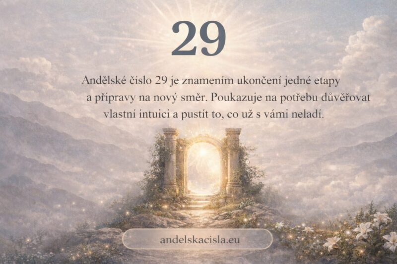 andělské číslo 29