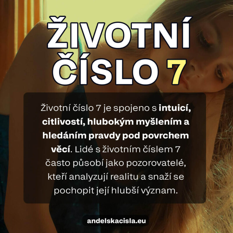 životní číslo 7