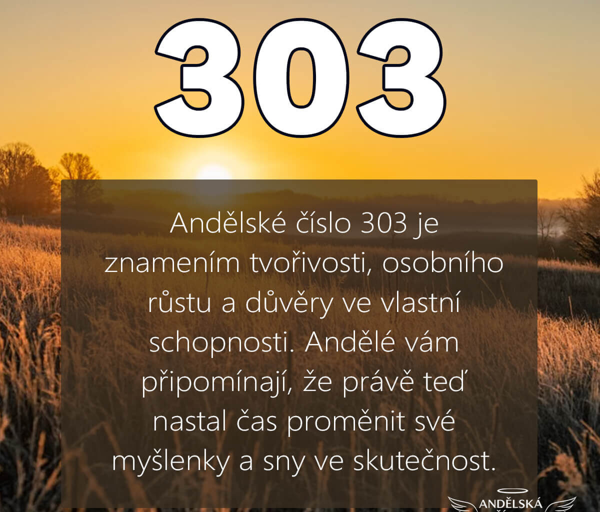 303 andělská čísla