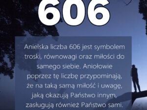 liczba anielska 606